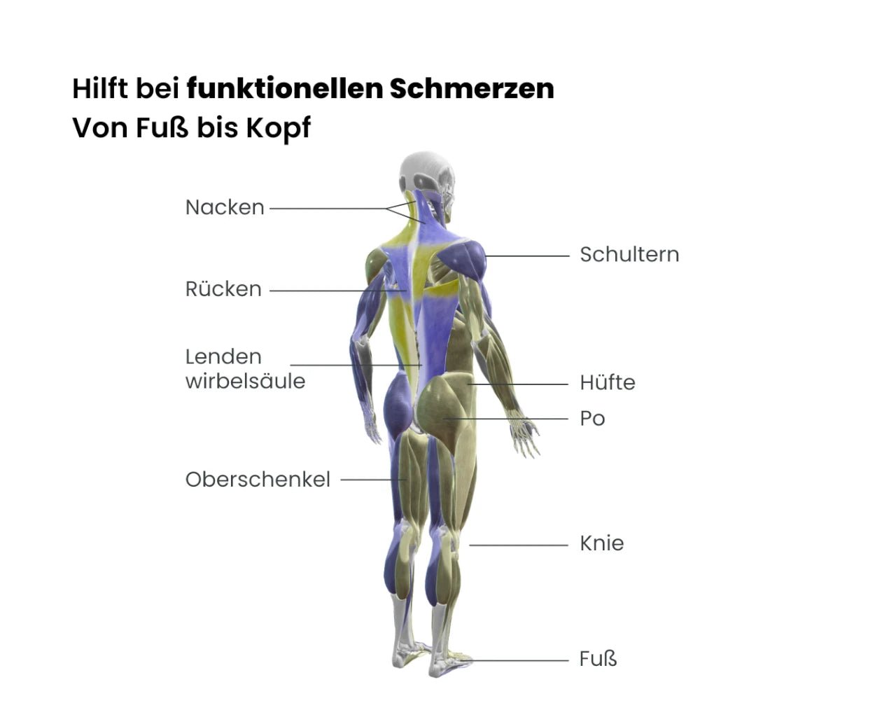 Ganganalyse + 0° - Sohlen - eversion.tech
