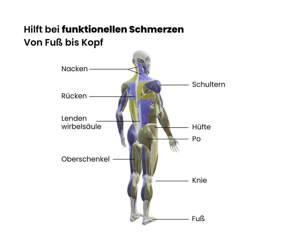 Schmerzen lindern mit Eversions 3 - in - 1 - Programm - eversion.tech