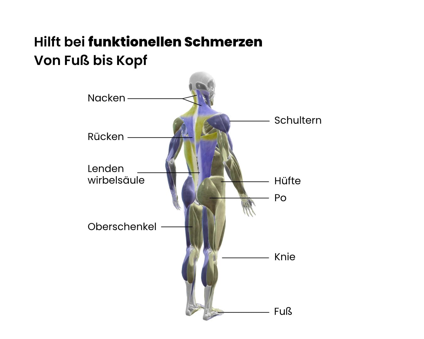 Schmerzen lindern mit Eversions 3 - in - 1 - Programm - eversion.tech