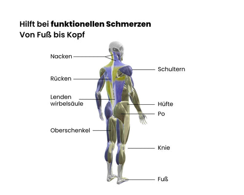 Schmerzen lindern mit Eversions 3 - in - 1 - Programm - eversion.tech
